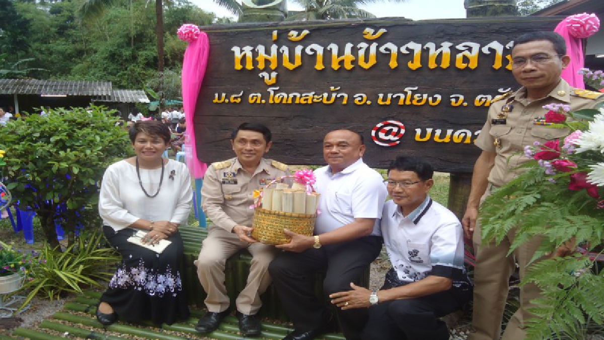 บันทึกความจำ 150 ปี “ข้าวหลาม 6 ไส้” ของดีเมืองตรัง เปิดตัวเป็นทางการ “หมู่บ้านข้าวหลาม” ต้อนรับนักท่องเที่ยวแบบวิถีชุมชน (มีคลิป)