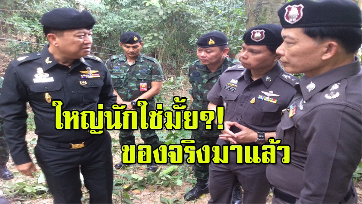 รองแม่ทัพ ภาค 4 ลุยเอง!! ลงพื้นที่ตรวจสอบการลักลอบตัดไม้พะยูง หลังผู้มีอิทธิพลบุกรุกอย่างเย้ยกฏหมาย แถมคุกคามผู้นำท้องถิ่น