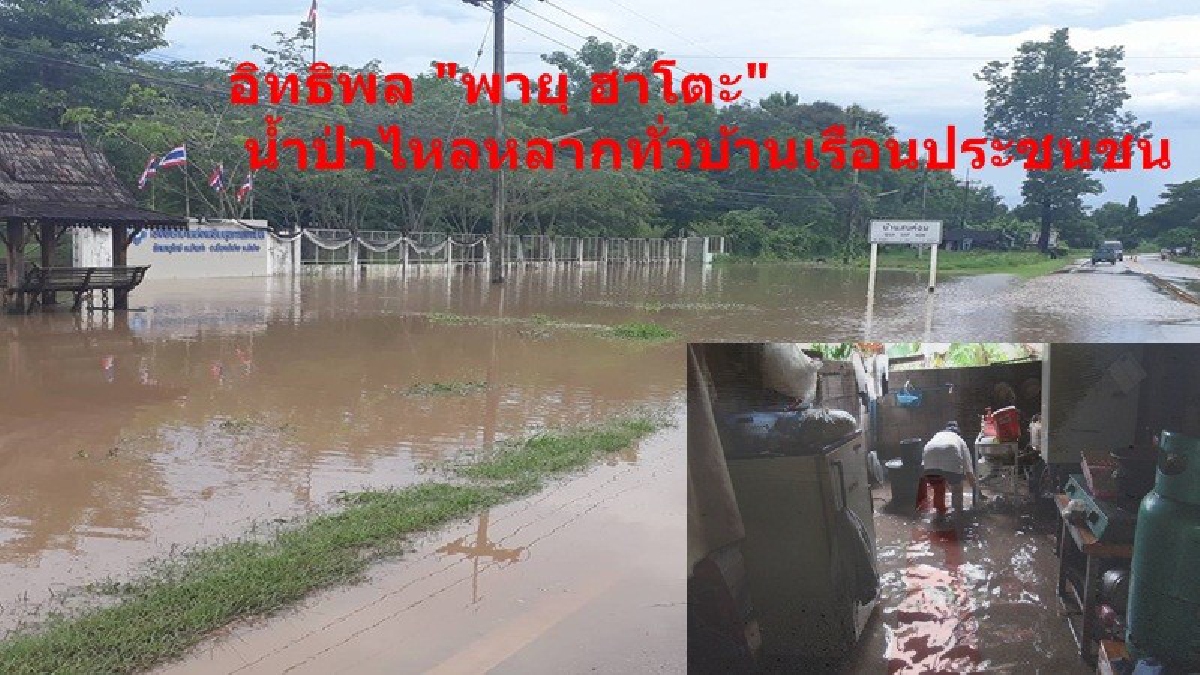 อิทธิพล-พายุฮาโตะ ถล่ม ลำปาง ฝนตกหนัก น้ำป่าไหลหลาก เข้าท่วมบ้านเรือนประชาชนและสวนไร่นาเดือดร้อนหนัก (มีคลิป)
