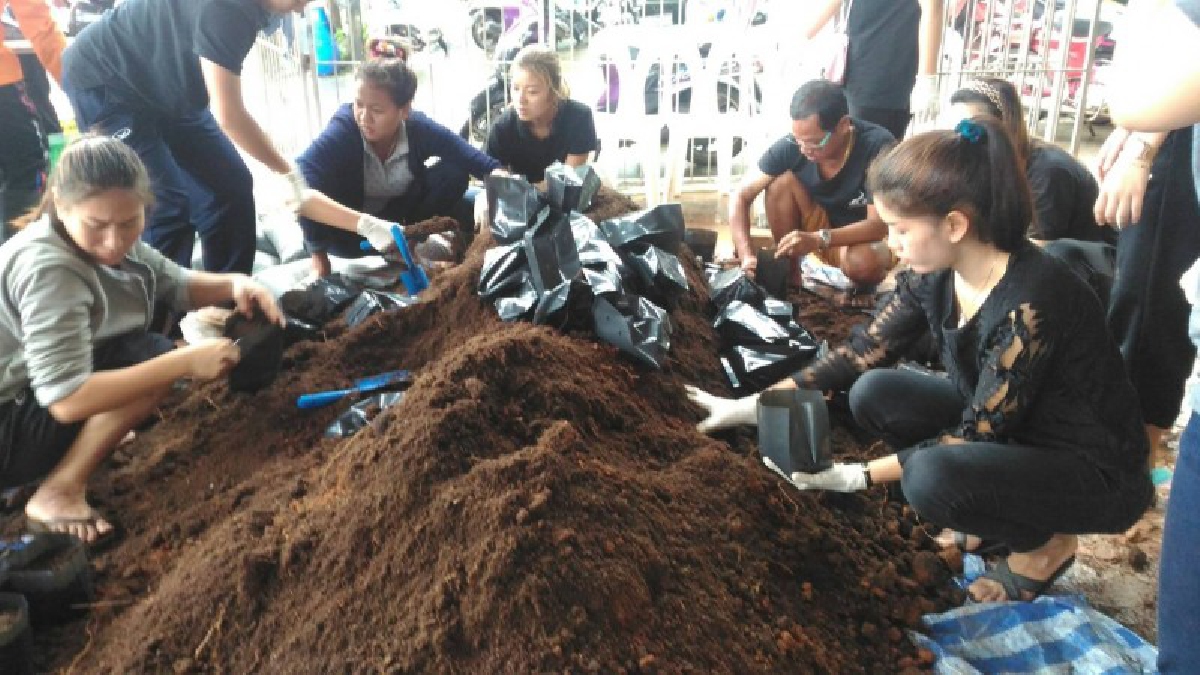 ตราด!! เทศบาล ต.หาดเล็ก จัดกิจกรรมปลูกต้นดาวเรือง สนับสนุนการจัดงานราชพิธีถวายพระเพลิง พระบรมศพในหลวงรัชกาลที่9 (มีคลิป)