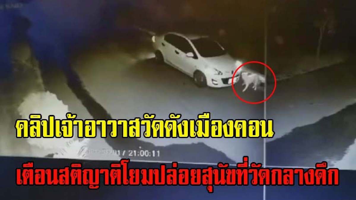 ฟังกันชัดๆคลิปเจ้าอาวาสวัดดังเมืองคอน !!! เตือนสติญาติโยม ปล่อยสุนัขที่วัดกลางดึก ให้พรรับสังฆทานผ่านกล้องวงจรปิด โยมขับรถยนต์เก๋งสีขาว
