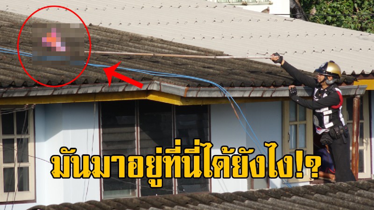 แตกตื่นกันทั้งบาง!! ชาวบ้านผวาหนัก โดนจรวดตกใส่หลังคาบ้าน พอเข้าไปดูใกล้ๆถึงกับพูดไม่ออก รีบวิ่งโร่แจ้งตำรวจ เข้าตรวจสอบอย่างด่วน!? (มีคลิป)