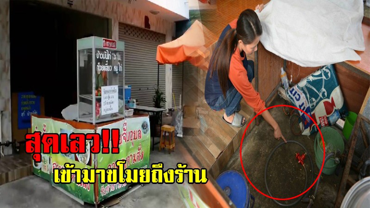 แค่ไม่กี่นาที..ทำเอาเข็ดไปอีกนาน!? สาวแม่ค้าหันหลังไปเตรียมของไม่ถึง 5 นาที หันกลับมาถึงกับอึ้ง ถูกโจรขโมยถังแก๊ส ฉกหาย ไร้ร่องรอย (ชมคลิป)