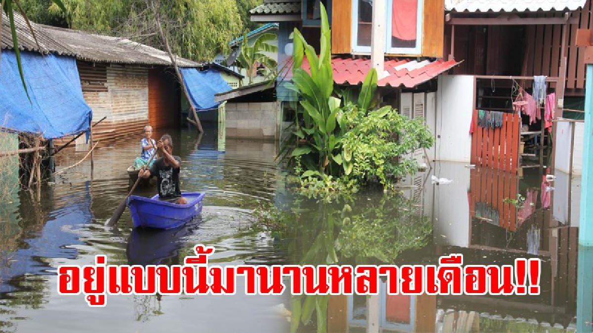 ได้โปรดช่วยเราด้วย!? ชาวบ้านกรุงเก่าแสนทรมาน โอดครวญ น้ำท่วมขังนานหลายเดือน เดือดร้อนหนัก วอนชลประทานระบายน้ำเข้าทุ่ง (ชมคลิป)