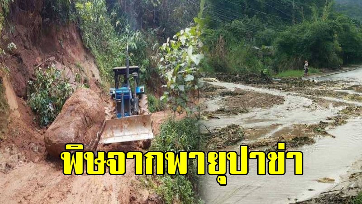 โดนพายุซัดเต็มๆ!! ฝนถล่มเชียงใหม่ 6 อำเภอ เจอน้ำท่วมจากพิษ "พายุปาข่า" ทำน้ำท่วม ดินถล่ม ถนนถูกตัดขาด จนท.เร่งเข้าช่วยเหลือด่วน (ชมคลิป)