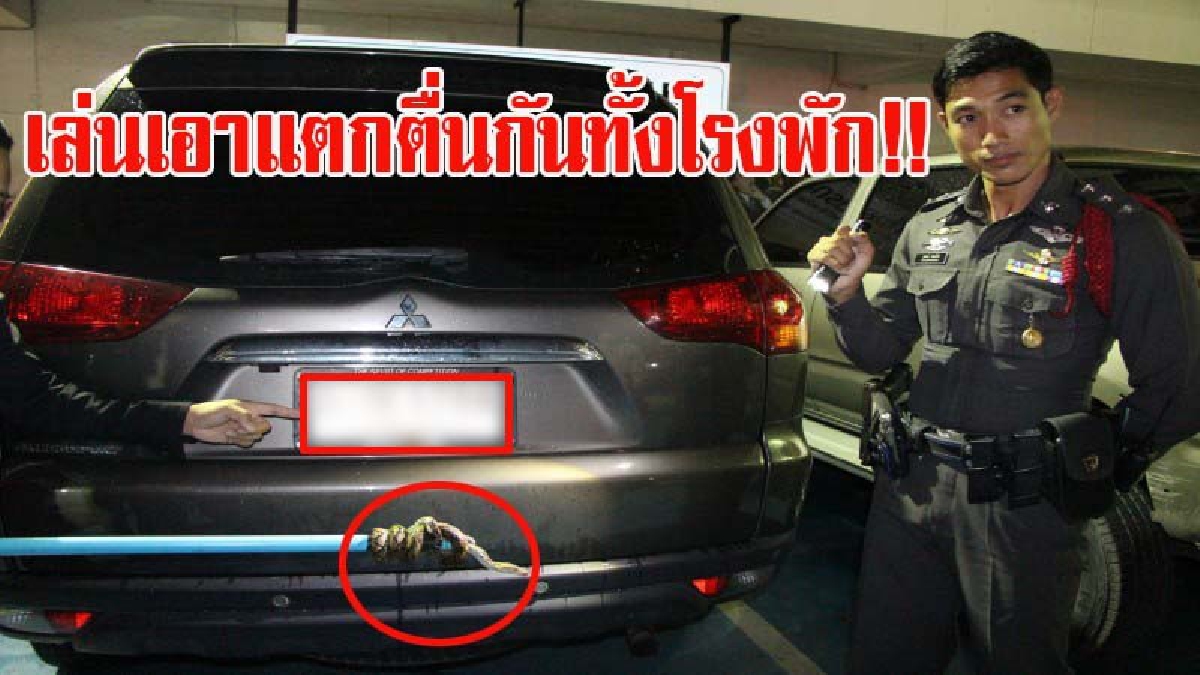 เล่นเอาแตกตื่นกันทั้งโรงพัก!! พบงูหนีฝนเลื้อยเข้าไปซุกรถ รอง สวป.จอดหน้าโรงพักพัทยา คอหวยแห่ดูเลขทะเบียนรถ (มีคลิป)