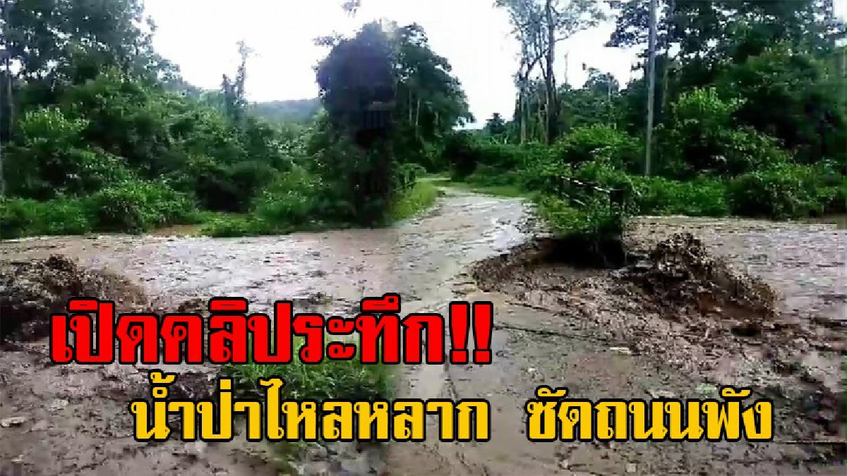 ระทึกกลางป่า!! เปิดคลิปเหตุการณ์ ครูดอยเดินทาง ประสบเหตุน้ำป่าไหลหลาก เจอะถนนพังเดินทางไม่ได้ เหมือนถูกตัดขาดจากโลกภายนอก