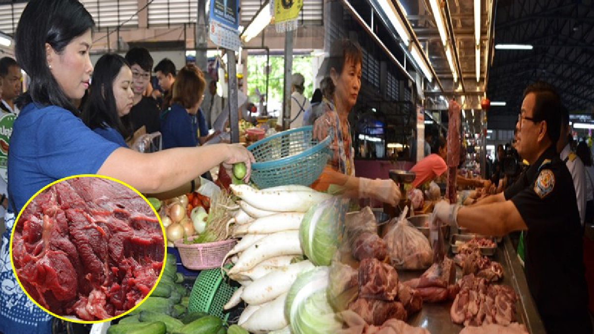 ความปลอดภัย..ต้องมาก่อน!? ปศุสัตว์พิษณุโลก ลงตรวจอาหารสด เพื่อเพิ่มความปลอดภัยและความมั่นใจแก่ผู้บริโภค ในช่วงสารทจีน!? (ชมคลิป)