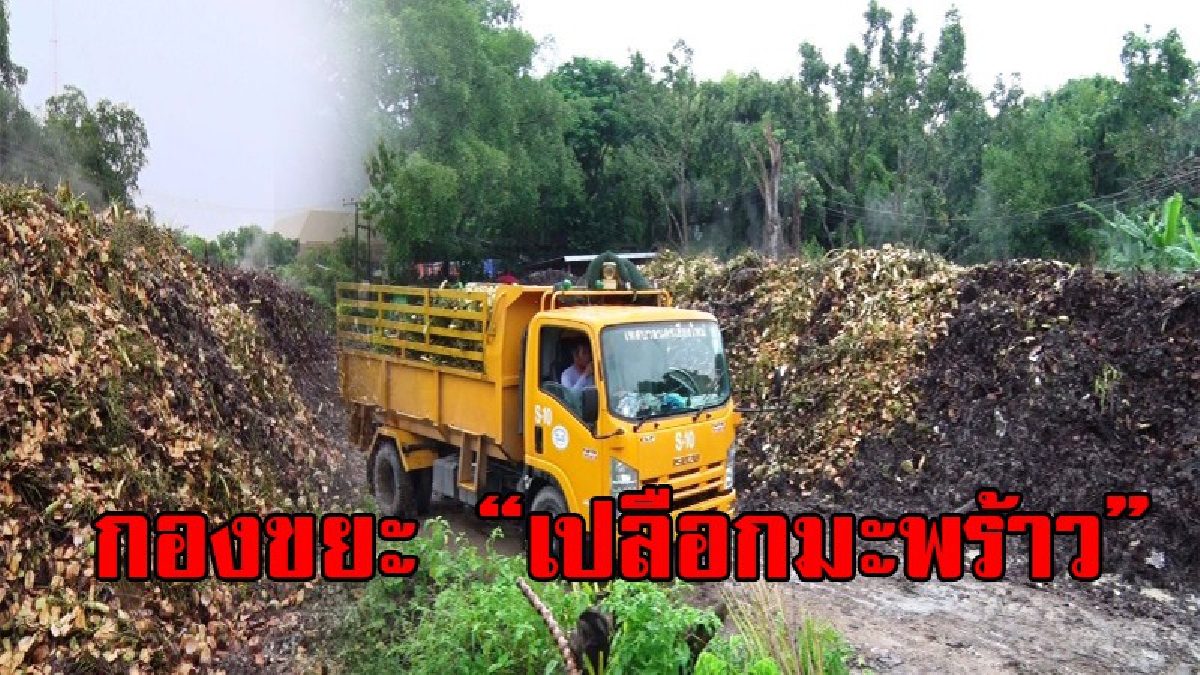 กองเท่าภูเขา!? ชาวบ้านและนักท่องเที่ยวนิยมทาน"มะพร้าว" ทำให้มีการเผาขยะเปลือกมะพร้าวกว่า 500 ตัน และเตรียมนำไปทำปุ๋ยหมักอินทรีย์!? (ชมคลิป)