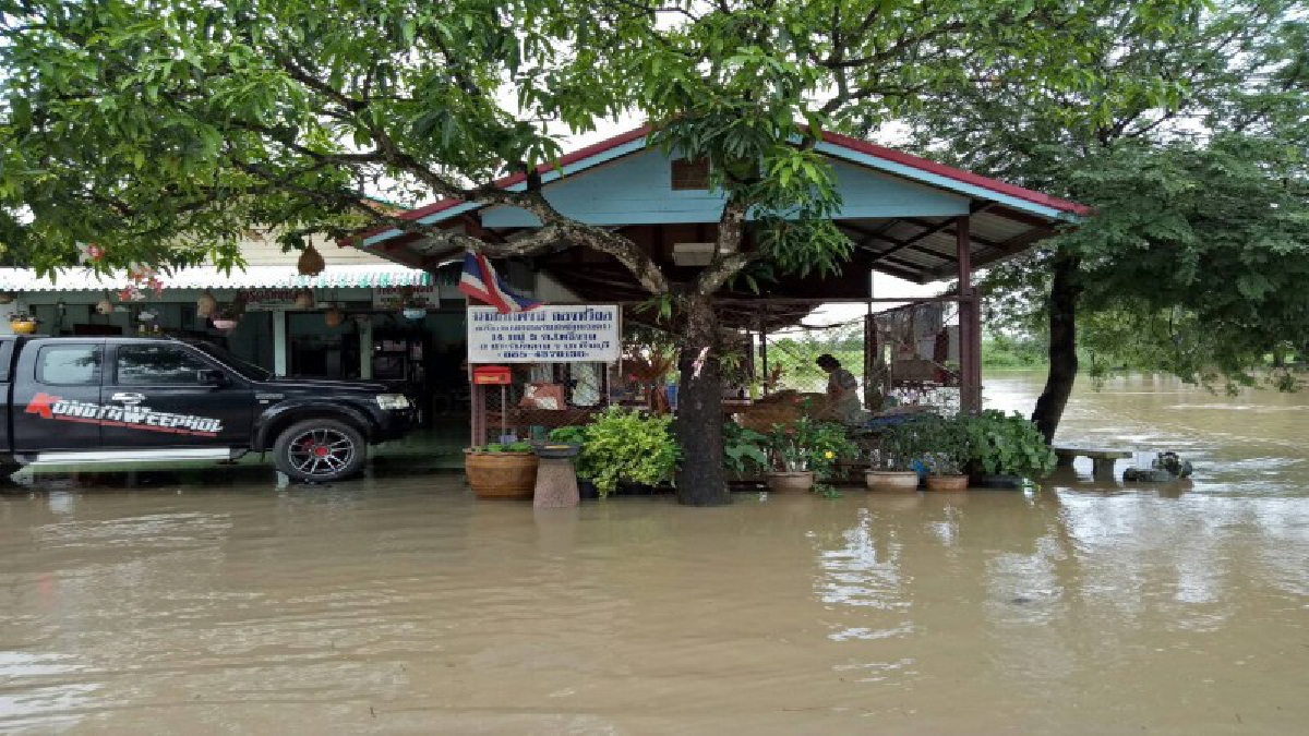 ฝนตกหนักทั้งคืนน้ำป่าเขาใหญ่ มรดกโลก หลากทะลักท่วมหมู่บ้านตีนเขา เริ่มกลับเข้าภาวะปกติ มาเร็ว-ลดเร็ว (มีคลิป)