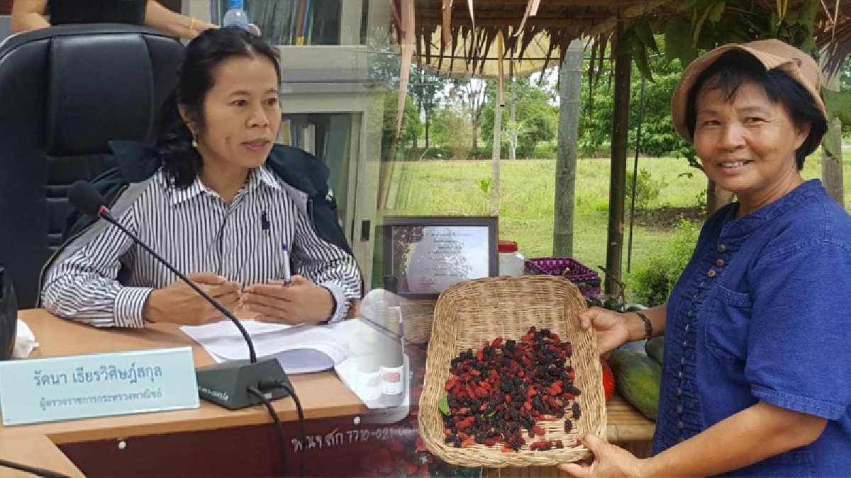 ผู้ตรวจราชการกระทรวงพาณิชย์ นำคณะลงพื้นที่สระแก้ว เพื่อตรวจการดำเนินงานของหน่วยงานต่างๆ พร้อมรับฟังและช่วยแก้ไขปัญหาเศรษฐกิจ (ชมคลิป)