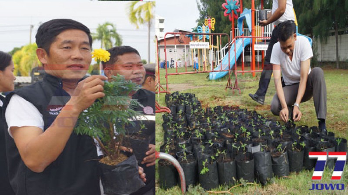 ตั้งใจทำด้วยใจ!! ตำรวจบางปู ร่วมปลูกต้นดาวเรือง 999 ต้น เพื่อใช้ประดับในช่วงพระราชพิธีถวายพระเพลิงบรมศพ ร.9 (ชมคลิป)