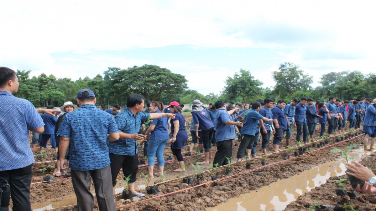 วิทยาลัยเทคนิค จัดปลูกดาวเรือง วิถีพ่อ วิถีแพร่ ร้อยรัก รวมใจ ร่วมปลูกดาวเรือง น้อมรำลึกนำพระมหากรุณาธิคุณ ในหลวงรัชกาลที่ 9 (ชมคลิป)