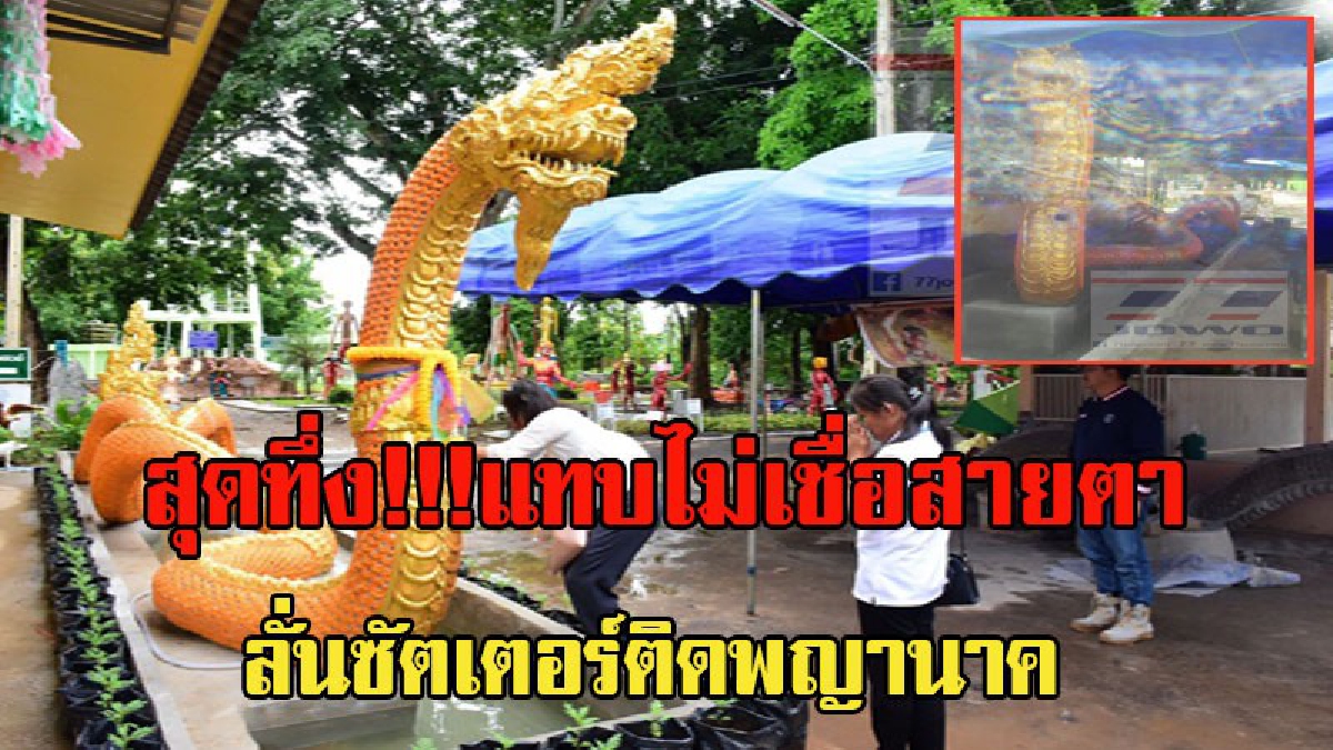 สุดทึ่ง!!!แทบไม่เชื่อสายตา นักธุรกิจ ตะลึงลั่นซัตเตอร์ติดพญานาค ที่วัดดังเมืองเชียงแสน เชื่อปาฏิหาริย์มีจริง สิ่งศักดิ์สิทธิ์จากน้ำโขง (คลิป