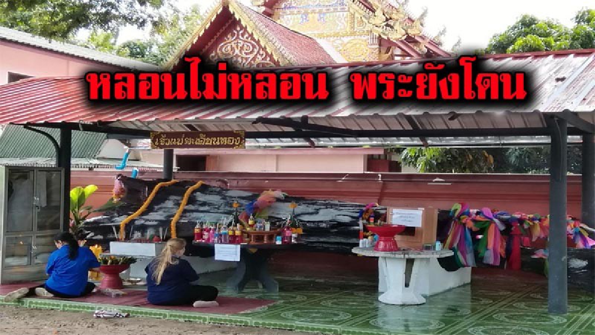เลขเด็ดขนหัวลุก!! มือดีแอบจิกเปลือกต้นตะเคียนทองอายุกว่า 2 พันปีไป เผยนอนไม่หลับทั้งคืน ได้ยินชัด..เอาของฉันคืนมา พระเผยเจอดีเข้าตอนดึก