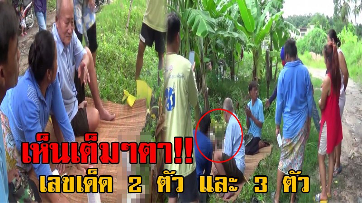 แรงแซงโค้งสุดท้าย!! ชาวบ้านแห่กราบไหว้ ขอเลขเด็ด ต้นกล้วยแปลก งานนี้เห็นเลขเต็มๆ ทั้ง 2 ตัว และ 3 ตัว โร่กวาดลอตเตอรี่กันเกลี้ยงแผง (คลิป)