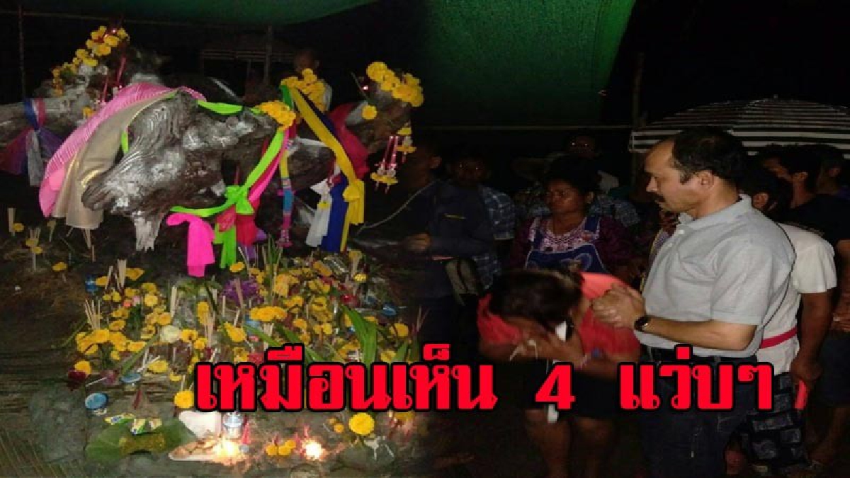 เห็นใครเห็นมัน!! คอหวย-นักเสี่ยงโชค แห่ขอเลขเด็ดแม่ตะเคียนยักษ์เมืองคอน เผย..ให้มาเต็มๆ ลือแซ่ด..ยังไงก็มี 4
