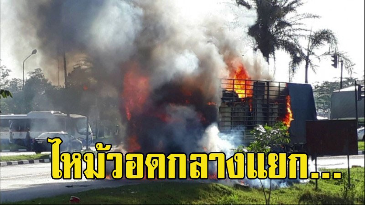 ไหม้วอดกลางแยก!! ระทึก รถบรรทุก 6 ล้อ เกิดไฟไหม้กลางแยก หลังประสบอุบัติเหตุ หนีตายกันชุลมุน โชคดีไม่มีคนได้รับบาดเจ็บ (มีคลิป)