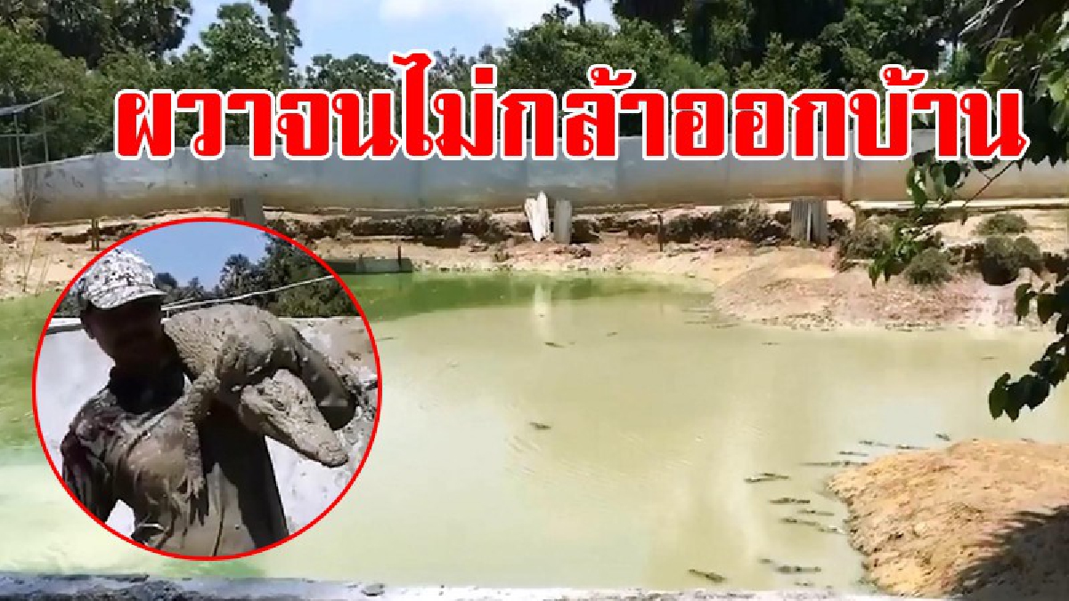 ยังคงผวา..ไม่กล้าออกบ้าน!! ชาวบ้านยังคงหวาดกลัว หลังจระเข้หลุดจากฟาร์ม ล่าสุดยังเหลืออีก 4 ตัวที่ยังจับไม่ได้ หวั่นเกิดอันตรายกับเด็ก!?
