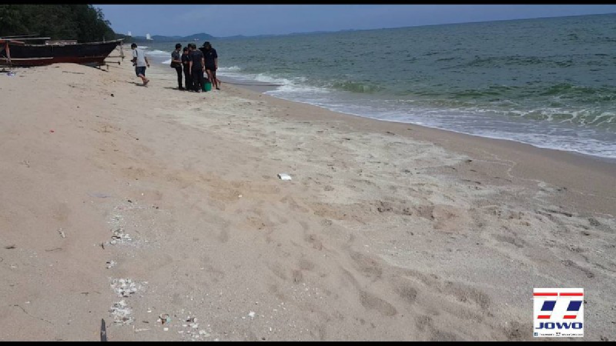 ชาวประมงพบซาก เปลือกหอยจ๊อก หรือหอยกระโดดเกลื่อนชายหาดแม่รำพึง ต.บ้านเพ อ.เมือง จ.ระยองกิน ระยะทางยาวกว่า 200 เมตร (มีคลิป)