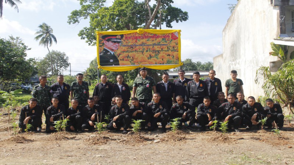 บานสะพรั่งทั่วทั้งแผ่นดิน-ทหาร ร.25พัน1 จัดทำโครงการปลูกดาวเรืองให้บานสะพรั่งเหลืองพร้อมกันทั่วทั้งแผ่นดิน รำลึกในพระมหากรุณาธิคุณ ร.9
