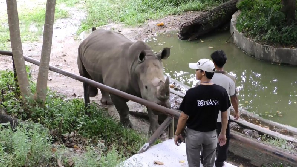 ชาวไทยมุสลิม ชายแดนใต้ เที่ยวสวนสัตว์สงขลา ฉลองเทศกาลฮารีรายออีดี้ลอัฎฮา ต่างพาครอบครัวมาท่องเที่ยวกันเป็นจำนวนมาก (มีคลิป)
