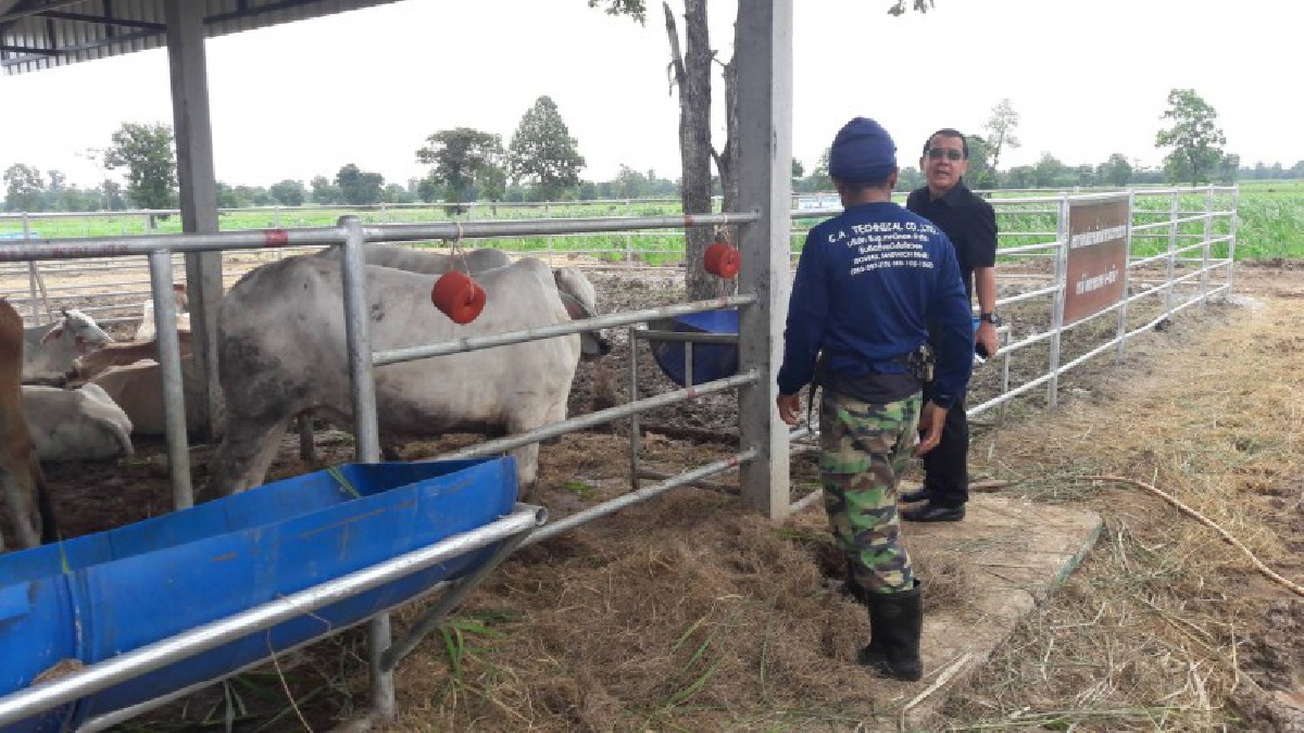 ประธานชุมชน สปก.หนองม่วง ระบุ พอใจการปฏิบัติของหน่วยงานรัฐ หลังเกิดปัญหาร้องเรียน (มีคลิป)