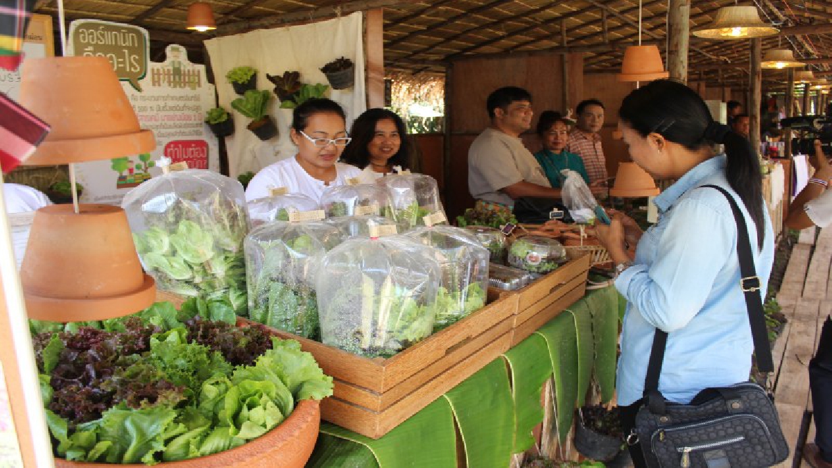 แวะมาชิมของดีของอร่อย!! วังน้ำเขียวเปิดตลาดชุมชน กระตุ้นท่องเที่ยว ขนผลิตภัณฑ์ท้องถิ่นรวมไว้ที่เดียว เน้นผลผลิตทางการเกษตรปลอดสารพิษ (คลิป)