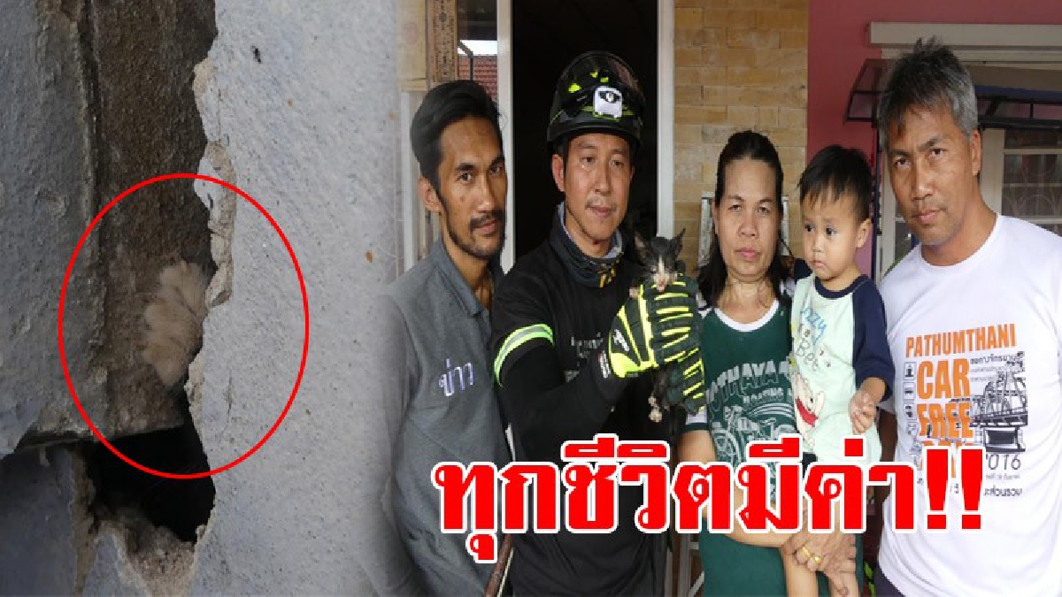 ความทรมานได้สิ้นสุดลง!? จนท.กู้ภัยเข้าช่วยเหลือลูกแมว ที่เคราะห์ร้ายตกใส่เสาเหล็ก นานนับ 6 วัน สุดท้ายรอดตาย!?
