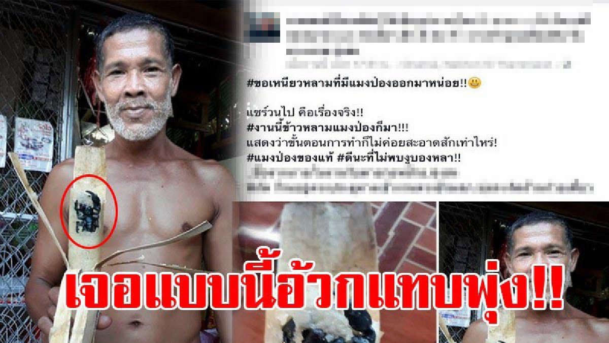 เอาสักกระบอกไหม?! หนุ่มปรี๊ดแตกโพสต์เฟซบุ๊กประชด หลังไปซื้อข้าวหลามมากิน แกะมาแทบอ้วก มีแถมแมงป่องมาตัวเบ้อเร่อ