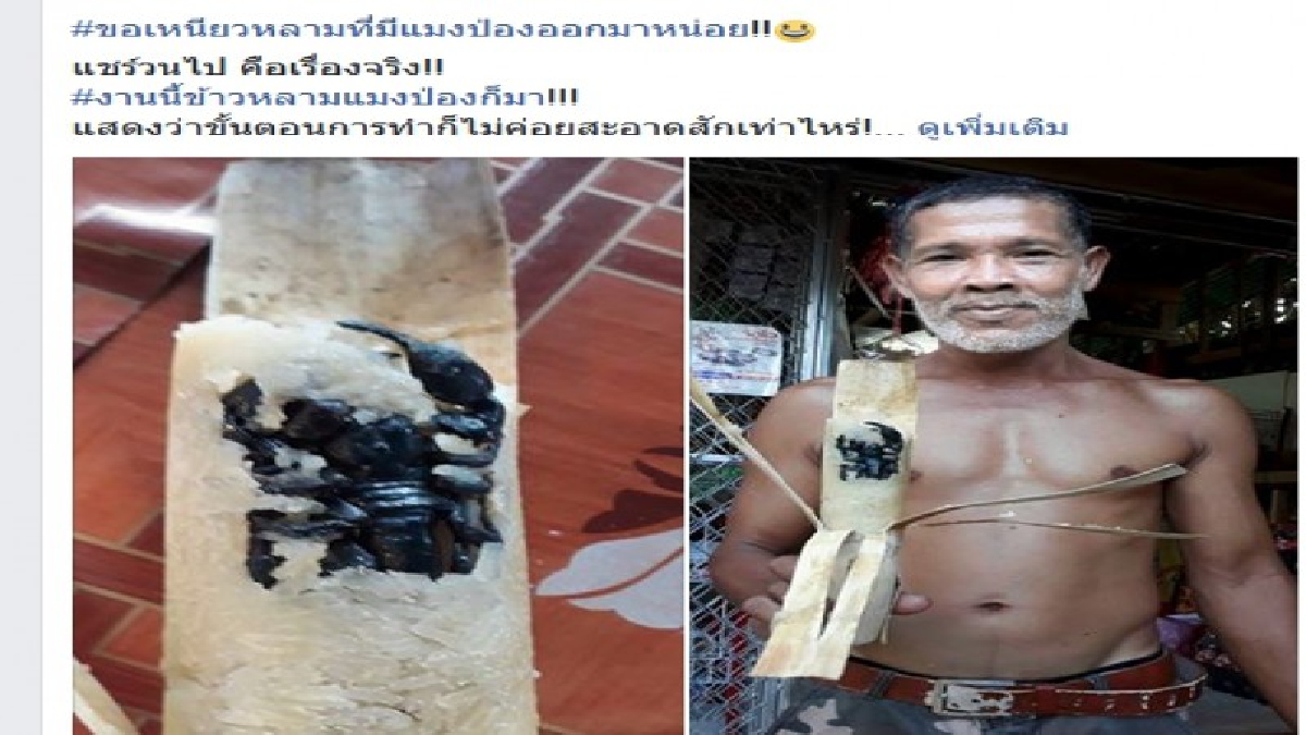 ข้าวหลามสูตรใหม่ยุคไทยแลนด์ 4.0!! หนุ่มอ้วกแตกทั้งครอบครัวกินข้าวหลามยัดแมงป่องตัวใหญ่ในกระบอก ซื้อจากงานประเพณีรับตายายเดือนสิบเมืองทุ่งสง