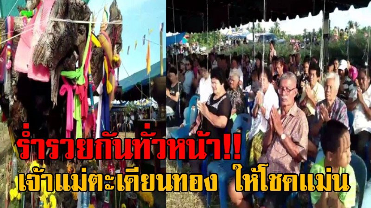 แม่นสมคำร่ำลือ!! คนเมืองคอนหลายพันคน แห่ร่วมพิธีบวงสรวงอัญเชิญ เจ้าแม่ตะเคียนทองอายุกว่า 100 ปี ไปไว้วัดบางไทร หลังขุดพบให้โชคร่ำรวยทั่วหน้า