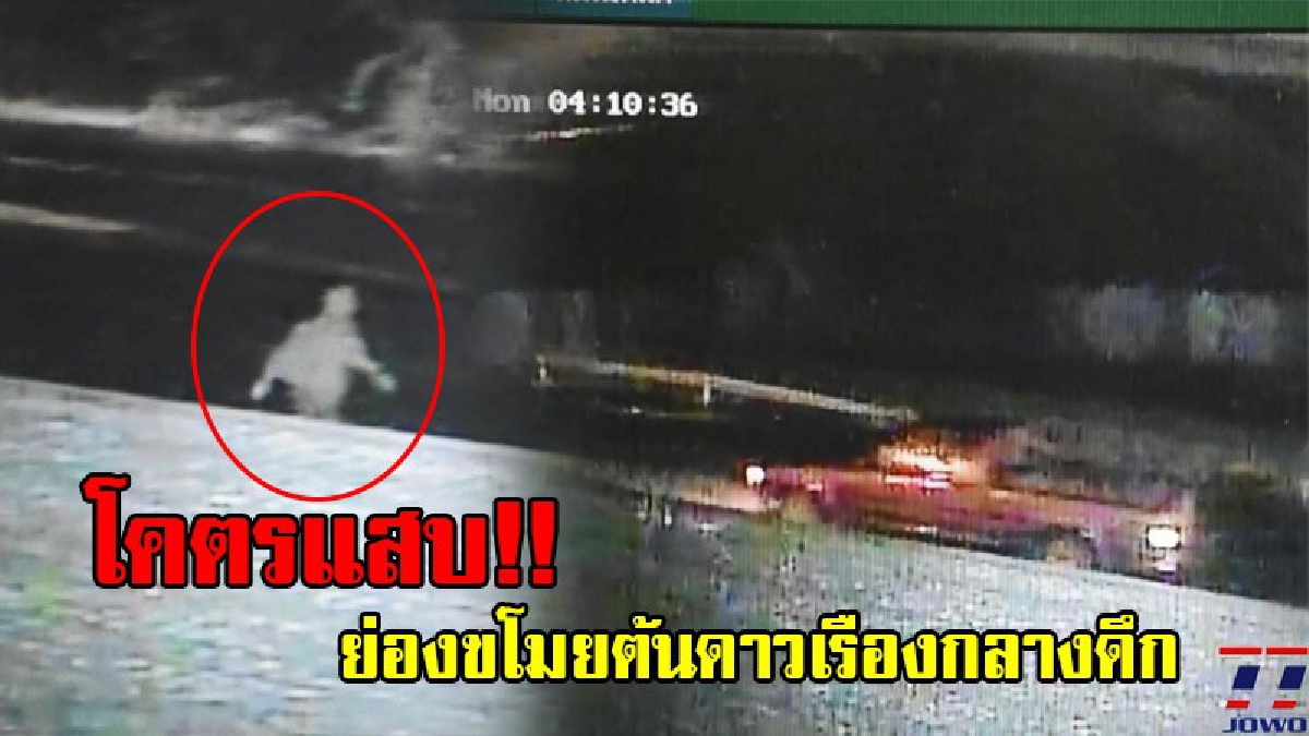 อยู่ยากขึ้นทุกวัน!? ภาพวงวรปิดจับภาพไอ้หัวขโมยสุดแสบ ขับรถกระบะมาลักขโมย ต้นดาวเรือง ใช้เวลาเพียง 10 นาทีได้ไปเกือบ 70 ต้น!? (มีคลิป)