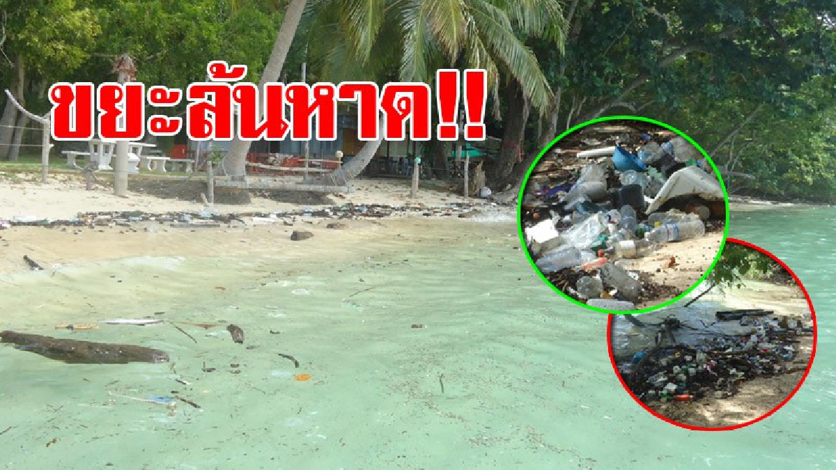 เห็นแล้วสุดเอือม!? ขยะเกลื่อนชายหาด เกาะกระดาน สถานที่ยอดฮิตในการจัดงานวิวาห์ใต้สมุทร แต่ขยะอื้อ เกลื่อนหาดทำเอาชาวบ้านและ นทท.สุดเอือม!?