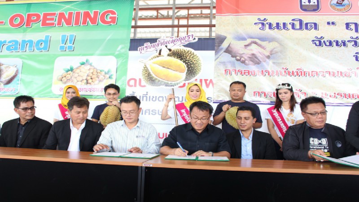 เปิดฤดู!! ตลาดทุเรียน จ.นราธิวาส พร้อมเปิดแบรนด์ ผลผลิตทางการเกษตร เจ้าของธุรกิจส่งออกเผยปีนี้เป็นปีทองของทุเรียนในพื้นที่
