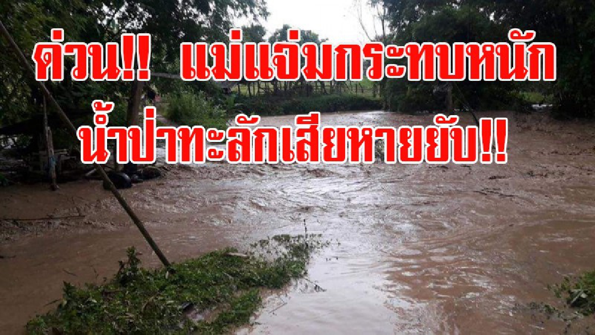 ด่วน!! อ.แม่แจ่ม จ.เชียงใหม่ กระทบหนัก เกิดน้ำป่าทะลักหลังฝนตกหนัก พืชสวนไร่นาสัตว์เลี้ยงเสียหายยับ (ชมคลิป)