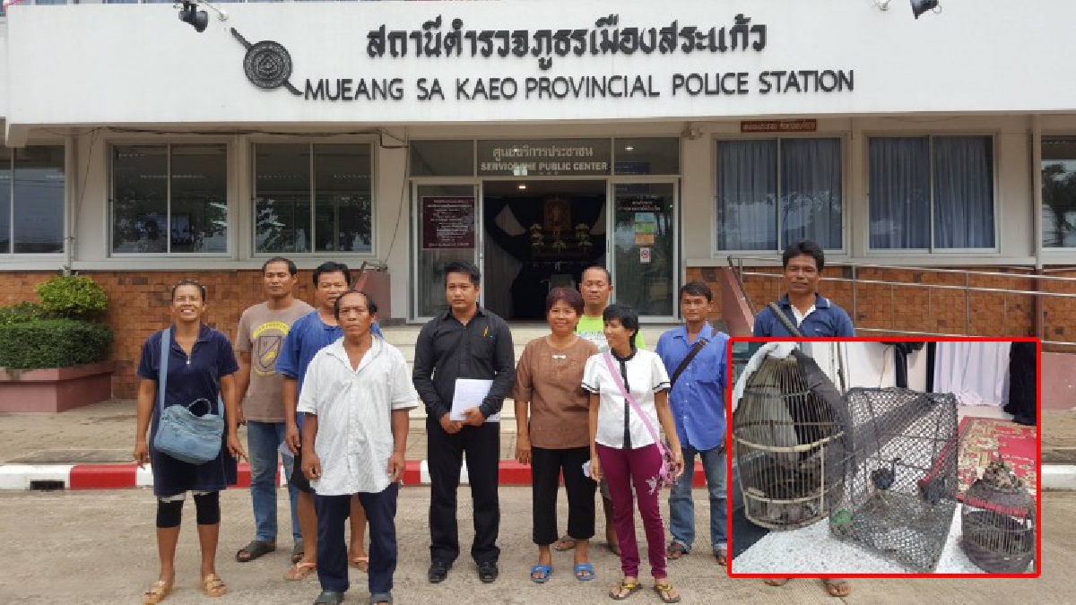 เอาจริง!! ตำรวจสระแก้วสนธิกำลังร่วม ปทส.จับกุมปืนผิดกฏหมาย พร้อมสัตว์ป่าคุ้มครองฯ ยึดได้เพียบ (มีคลิป)