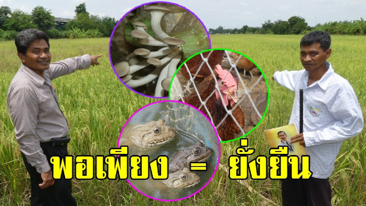 พอเพียง = ยั่งยืน!! ชาวนาเกษตรอินทรีย์สุดปลื้ม โครงการ 9101 ได้ผล ช่วยเปลี่ยนชีวิต ลดต้นทุน สร้างอาหารปลอดภัย!? (ชมคลิป)