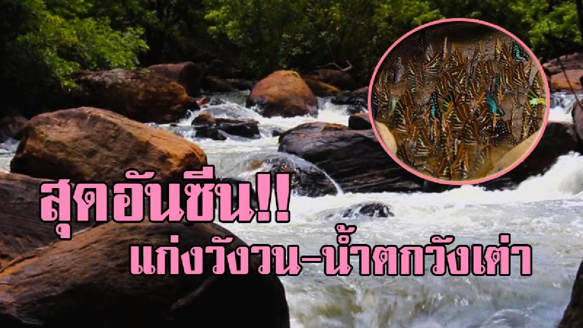 ขาลุยห้ามพลาด!! ปักหมุดแหล่งท่องเที่ยวธรรมชาติสุดอันซีน แก่งวังวน-น้ำตกวังเต่า ครบุรี เล่นน้ำตกชมฝูงผีเสื้อ (ชมคลิป)