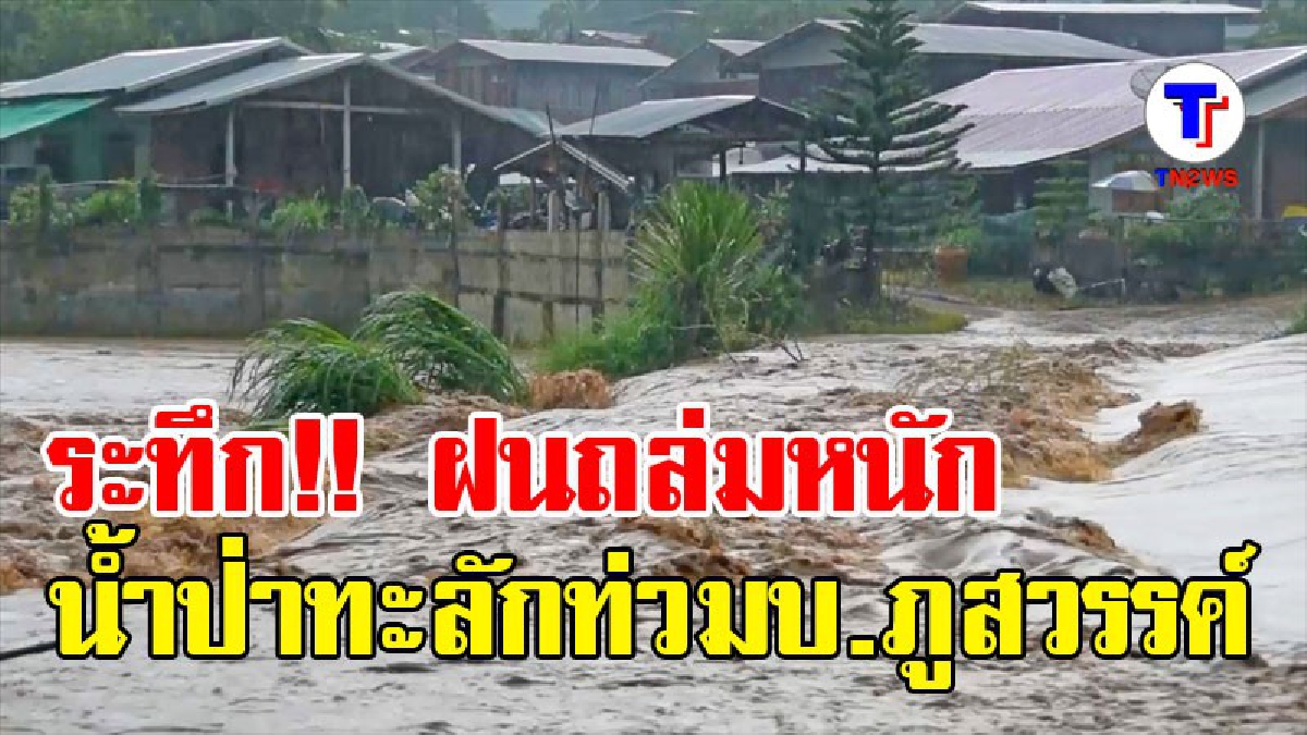 เมืองเลยอ่วม!! ฝนถล่มหนัก น้ำป่าทะลักท่วมหมู่บ้านภูสวรรค์ นาล่ม-ถนนถูกตัดขาด กู้ภัยฯระดมกำลังกว่า 30 นาย เข้าช่วยชาวบ้าน (มีคลิป)