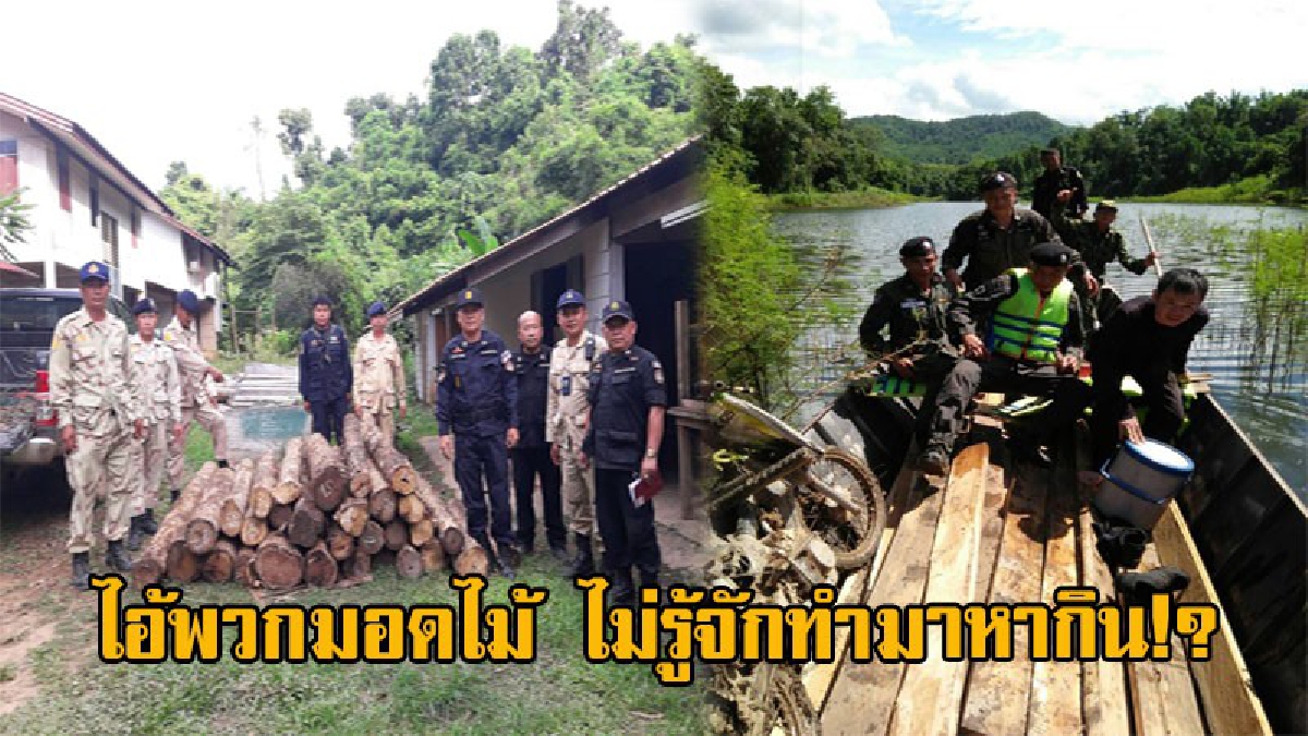 สันดานไม่เคยเปลี่ยน!! สนั่นออนไลน์ ชาวบ้านด่ากราด พวกงานการไม่มีทำ เที่ยวตัดไม้ทำลายป่า หลังตรวจยึดไม้จำนวนมากที่กลางป่า (มีคลิป)