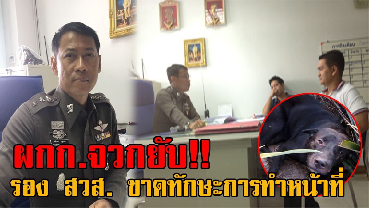 งานเข้าแล้ว!! ผกก.สภ.เมืองประจวบฯ ฉุนจัด จวกยับรองสารวัตรสอบสวน หลังขาดทักษะการสางคดี คนร้ายใช้อาวุธปืนยิงสุนัข และยังทำให้คดีบานปลาย!?