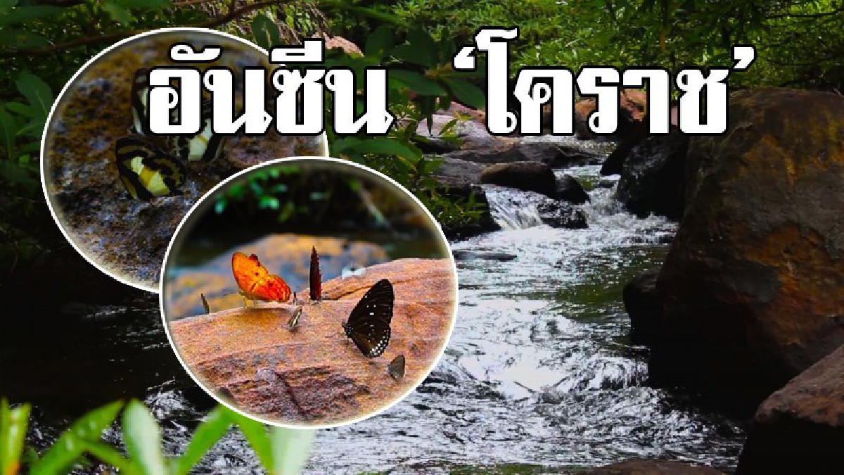 อันซีนโคราช!! ความสวยงามสุดตระการตา เที่ยวได้ทุกอำเภอ ชวนเที่ยวแก่งหินวังเสถียร แหล่งท่องเที่ยวหน้าฝน เพลินเพลินกับความสวยงามของธรรมชาติ