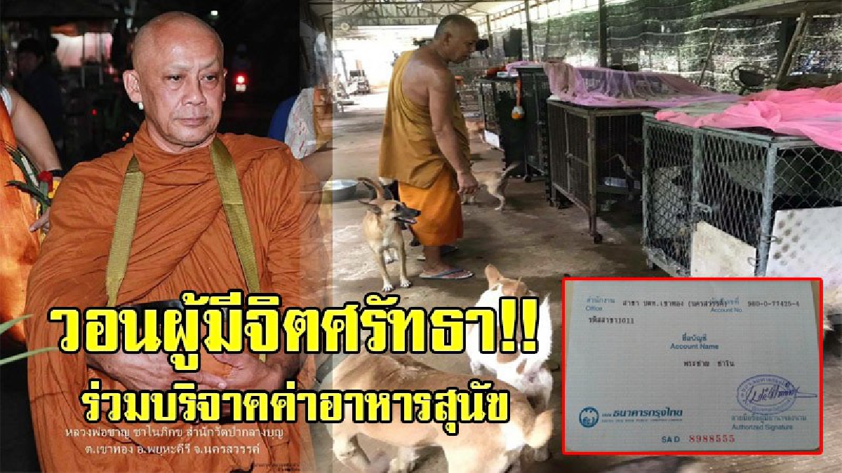 สุดเลื่อมใสในศรัทธา!! หลวงพ่อผู้ใจบุญ รับเลี้ยงสุนัขจรจัดกว่า 500 ตัว ในสำนักสงฆ์เป็นหมาที่ถูกเจ้าของนำมาทิ้งไว้หน้าวัด!? (คลิป)