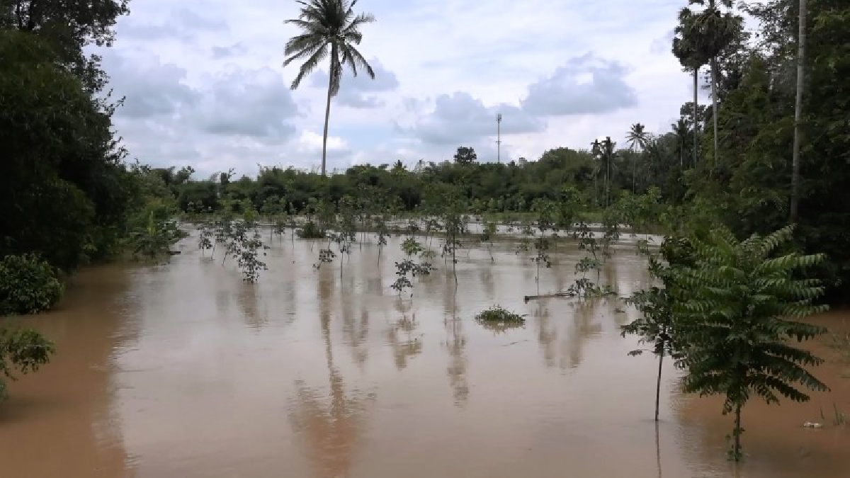 น้ำล้นตลิ่งเข้าท่วมหลายหมู่บ้าน จากฝนตกสะสมมานาน ถึง 2 วัน ในพื้นที่เทือกเขาแก้ว ชาวบ้านขนย้ายทรัพย์สินมาไว้บนถนนและยังอยู่ในภาวะเฝ้าระวัง!!