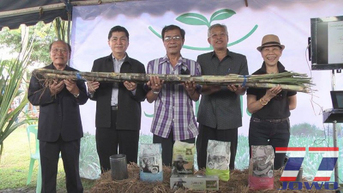 กรมวิชาการเกษตร จับมือกลุ่มวังขนาย ขยายฐานการผลิตอ้อยอินทรีย์ เพื่อผลิตน้ำตาลออร์แกนิก 40,000 ตันป้อนตลาดโลก ที่ จ.มหาสารคาม (มีคลิป)