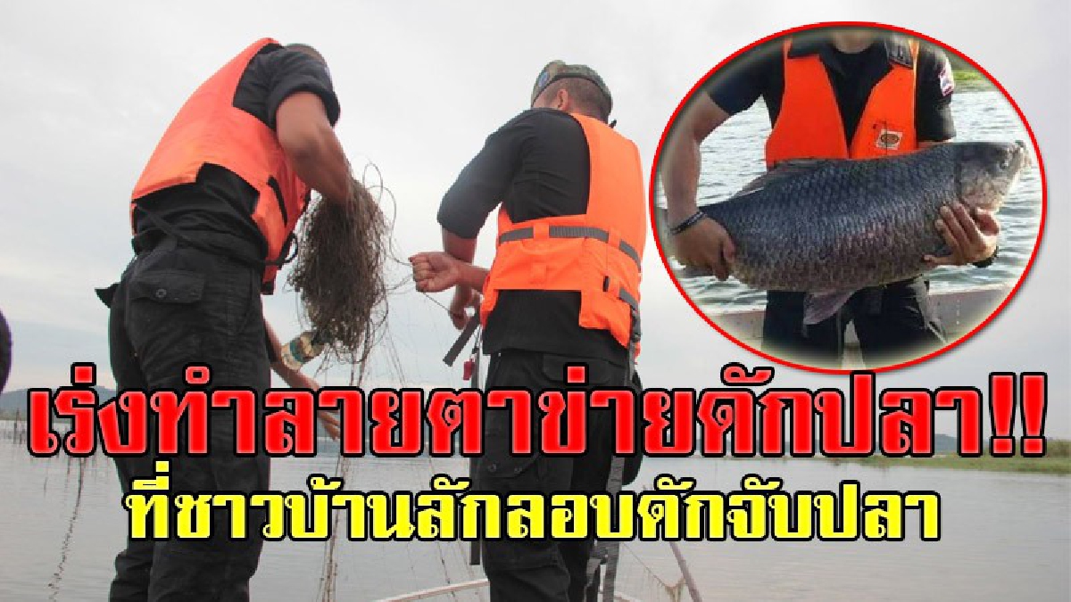 ทหารพรานนาวิกโยธินที่ 544 ร่วมกับเทศบาลตำบลทับไทร ลาดตระเวนเก็บกู้และทำลายตาข่ายดักปลา ที่ชาวบ้านลักลอบดักปลาในช่วงฤดูปลาวางไข่ (ชมคลิป)