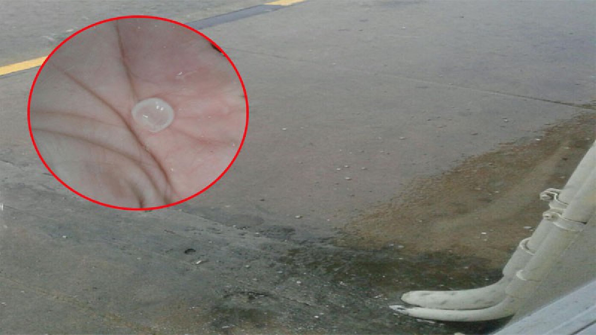 ปทุมธานี!! ชาวบ้านฮือฮาลูกเห็บขนาดเท่าลูกแก้วตกขณะพายุฝนกระหน่ำ ถือเป็นครั้งแรกในพื้นที่นี้ (มีคลิป)