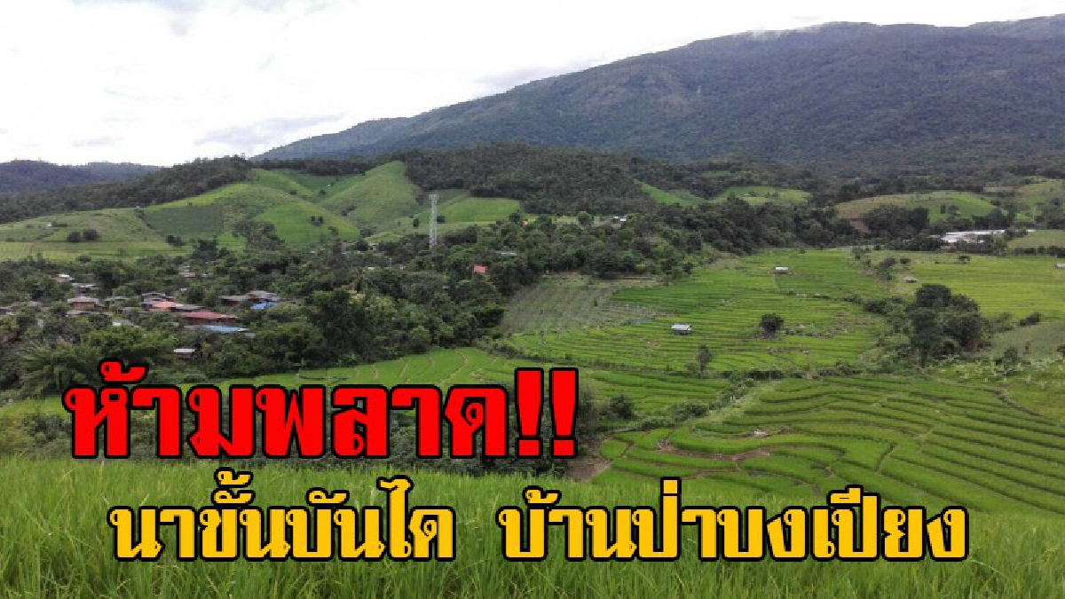 สุดยอดจริงๆ...ไม่ไปไม่ได้แล้ว!! ปั่นสองน่องท่องอุทยาน นาขั้นบันได บ้านป่าบงเปียง ไฮไลท์หน้าฝนที่คุณห้ามพลาดเด็ดขาด (มีคลิป)