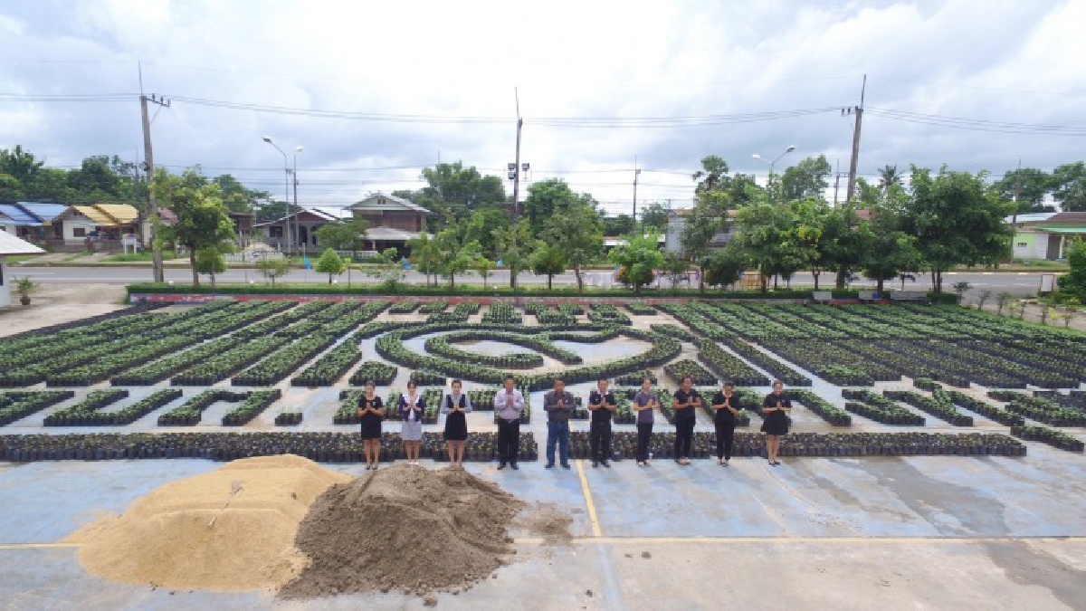 นครพนม!! อบต.พระกลางทุ่ง น้อมใจนำชาวบ้าน ปลูกดอกดาวเรืองสองหมื่นต้น แปรอักษรถวายอาลัย สื่อความหมายเรารักในหลวง ร.9 (มีคลิป)